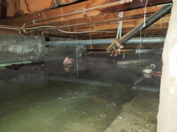 Best Sewage cleanup and water damage restoration  in Charter Oak, CA
