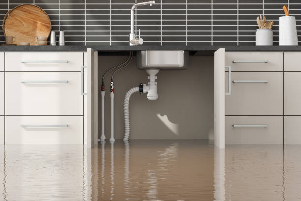 Best Fire Damage Restoration  in Charter Oak, CA