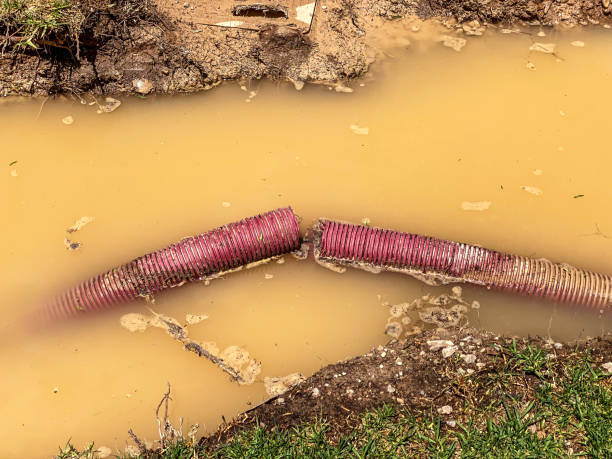 Best Local water damage restoration  in Charter Oak, CA