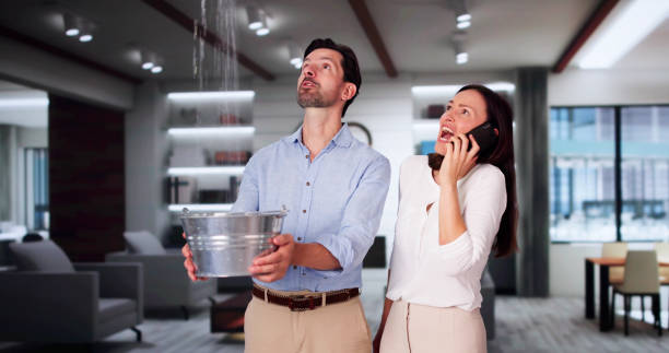 Best Mold removal after water damage  in Charter Oak, CA