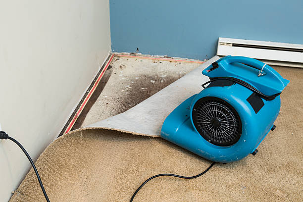 Best Flood damage cleanup  in Charter Oak, CA